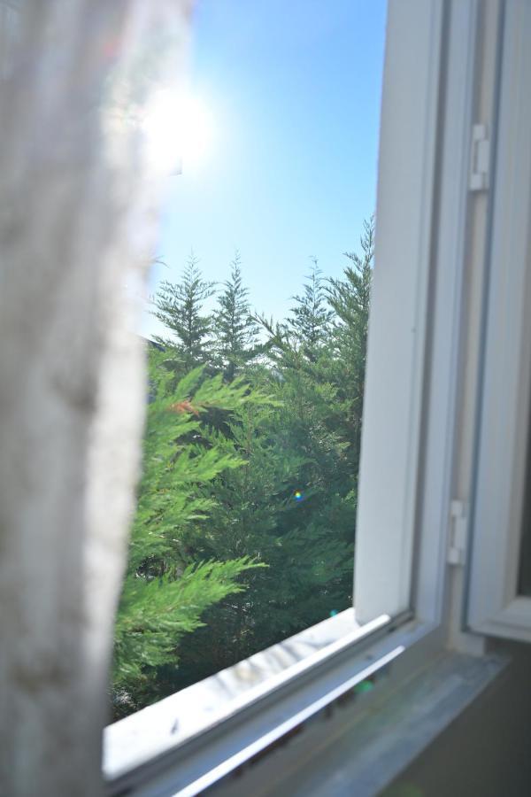 Forest Villa, 6 Minutes From The Airport *