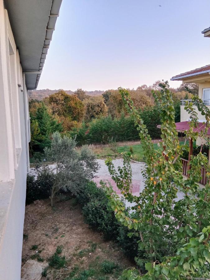 Forest Villa, 6 Minutes From The Airport